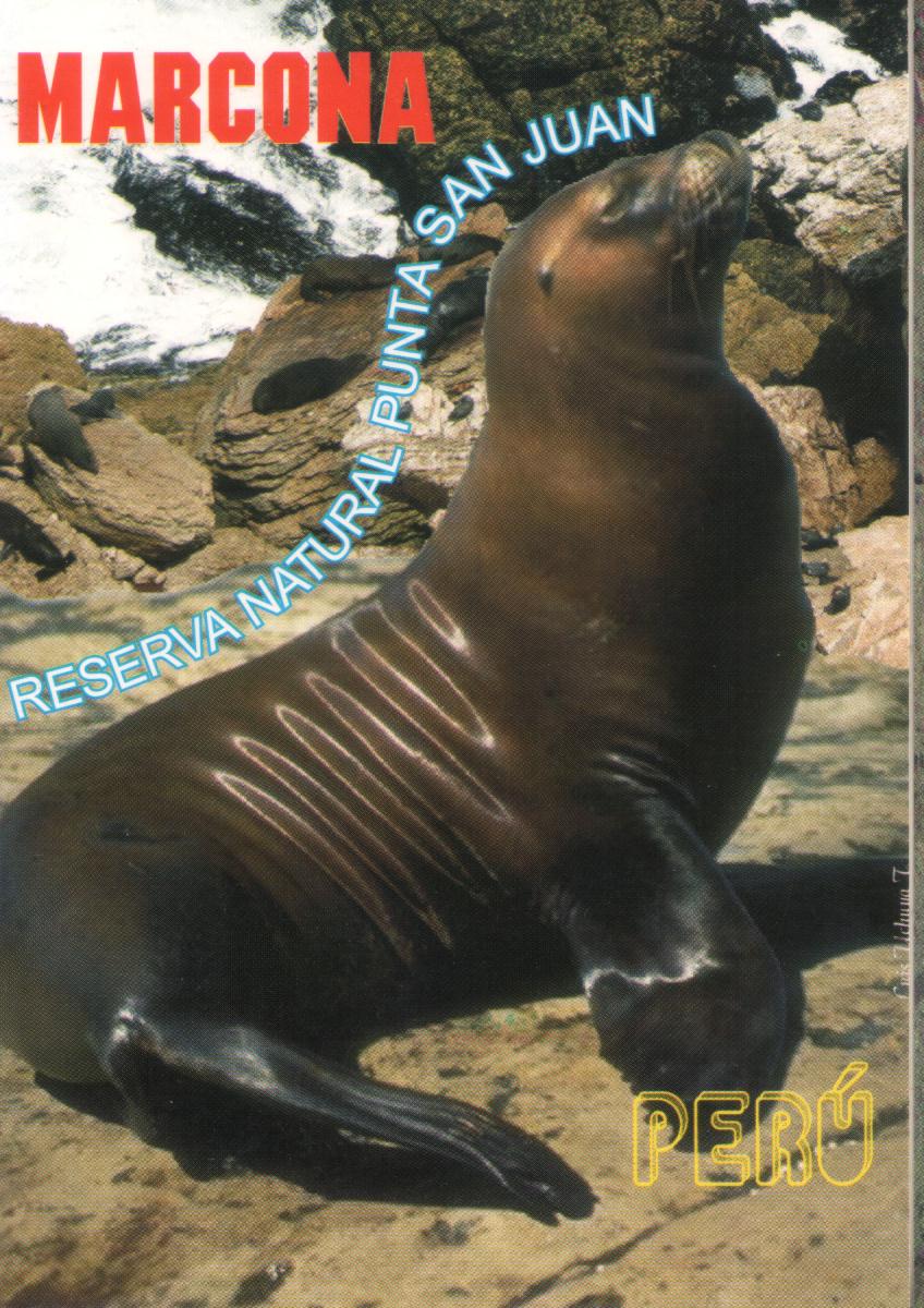 marcona2.jpg